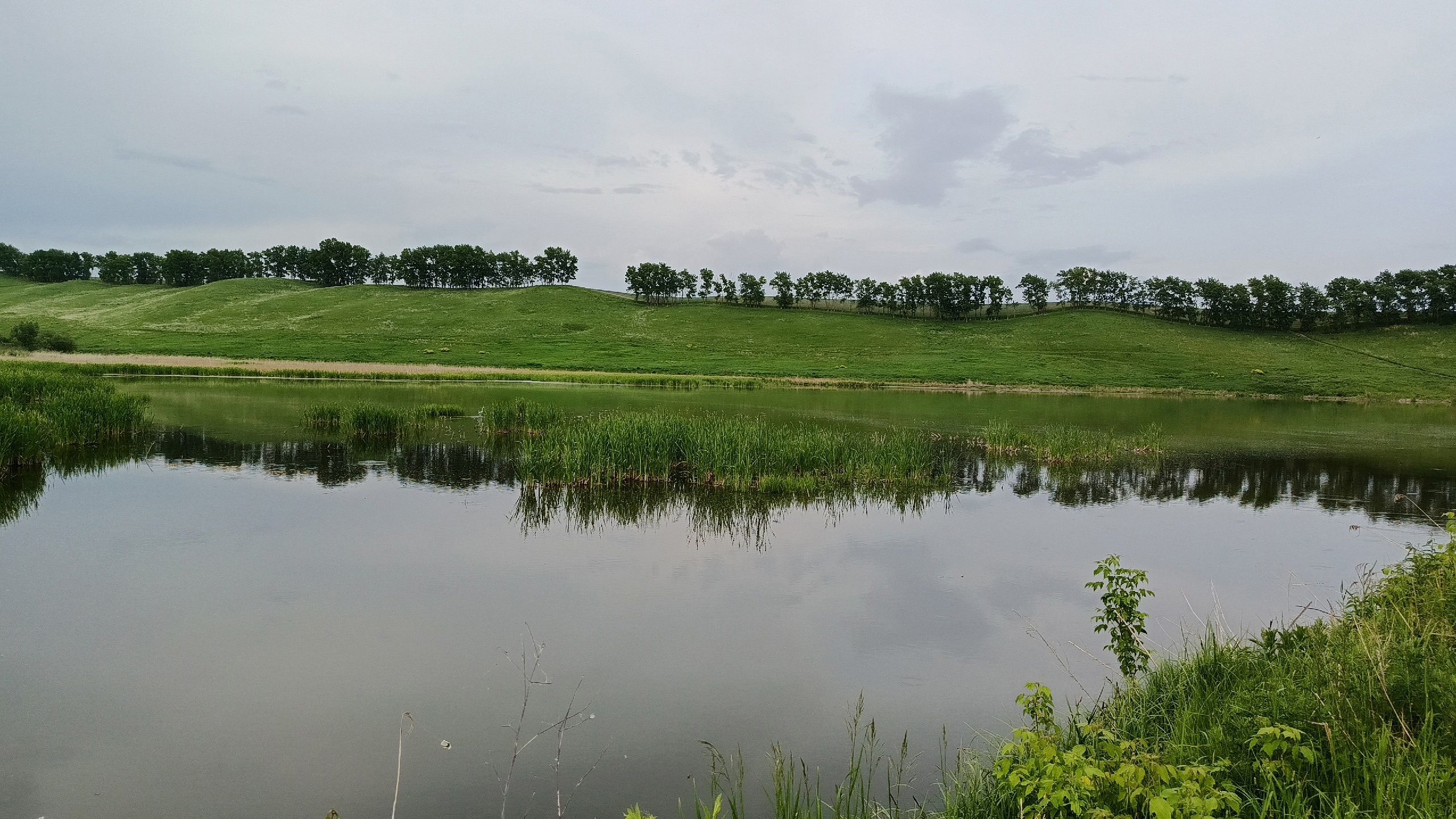 РОДИТЕЛЬСКИЙ ПАТРУЛЬ НА ВОДЕ.